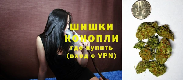 дживик Пересвет