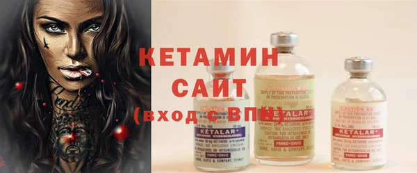 дживик Пересвет