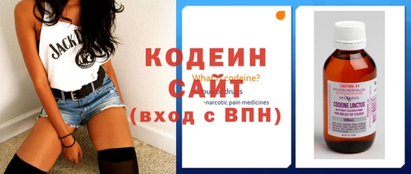 дживик Пересвет