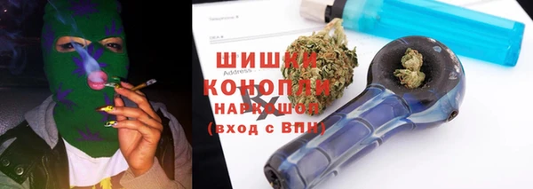 ПСИЛОЦИБИНОВЫЕ ГРИБЫ Куртамыш