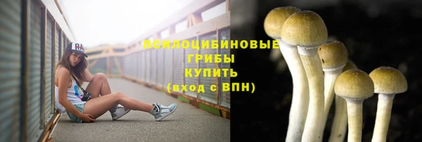 дживик Пересвет