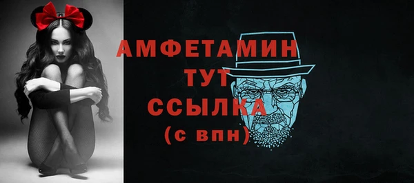 2c-b Пестово