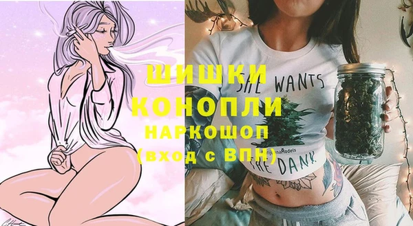 дживик Пересвет