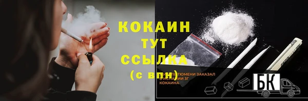 2c-b Пестово