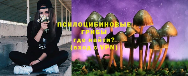 не бодяженный Переславль-Залесский