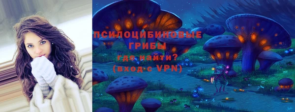 2c-b Пестово
