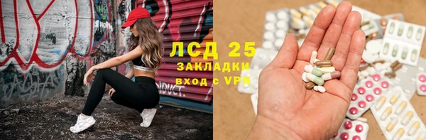 дживик Пересвет