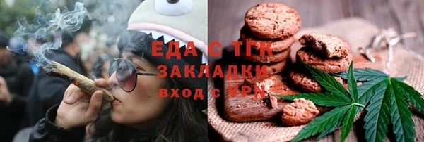 дживик Пересвет